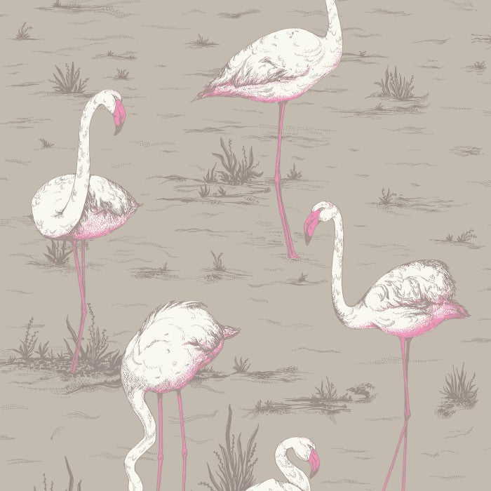 Cole & Son Contemporary Collection Flamingos 66/6042 Behang