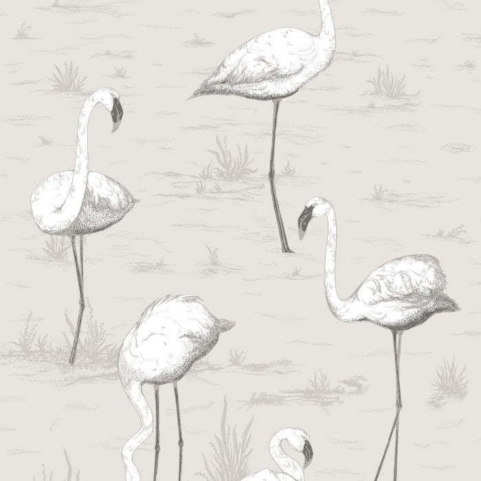 Cole & Son Contemporary Collection Flamingos 95/8046 Behang